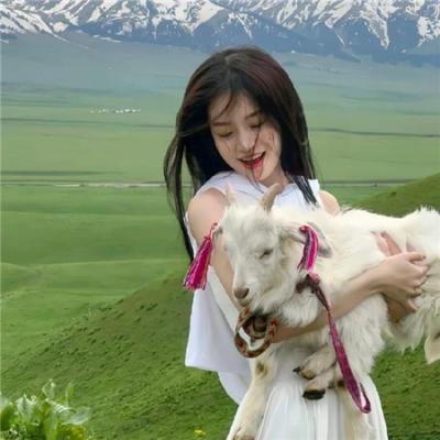 玉屏风